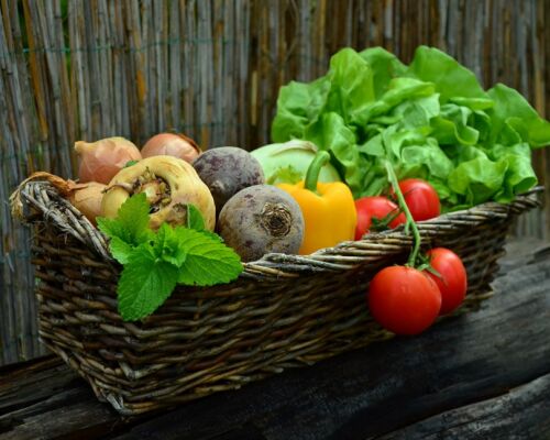 eco groentepakket